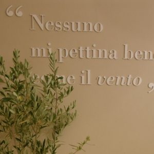Nessuno mi pettina bene come il vento